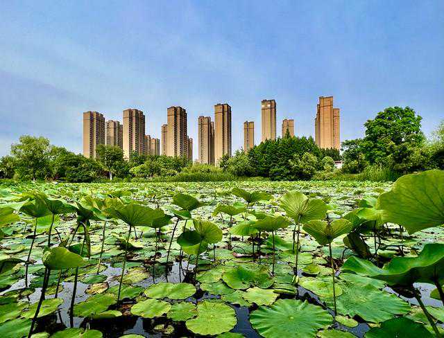 卢克文说中国没有特别宜居的城市，你认同吗？
