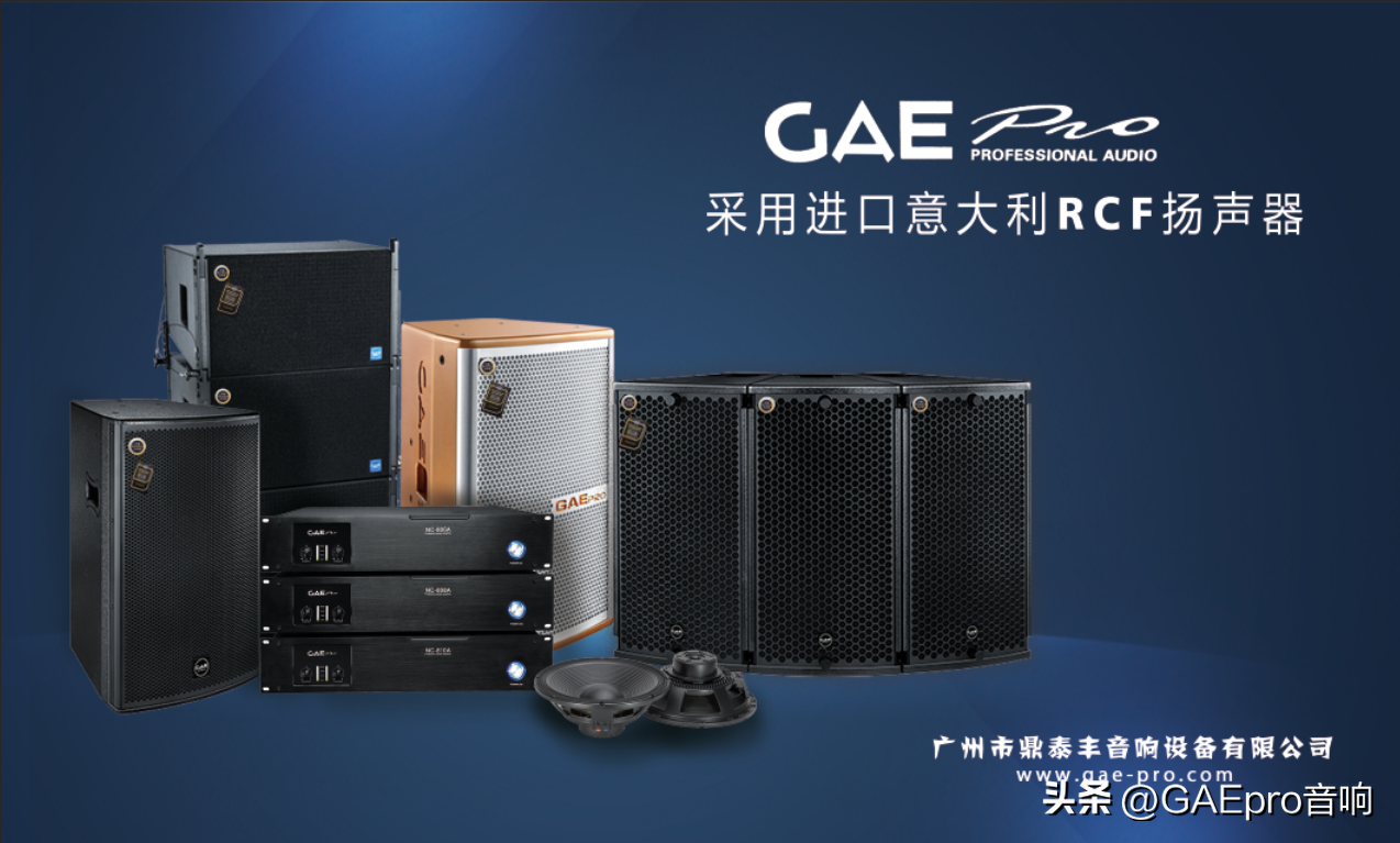 鼎泰丰音响GAEpro简介