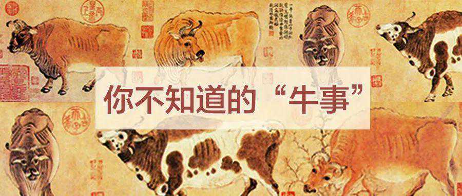 好书·书摘丨了解这些“牛”知识，牛气冲天过春节