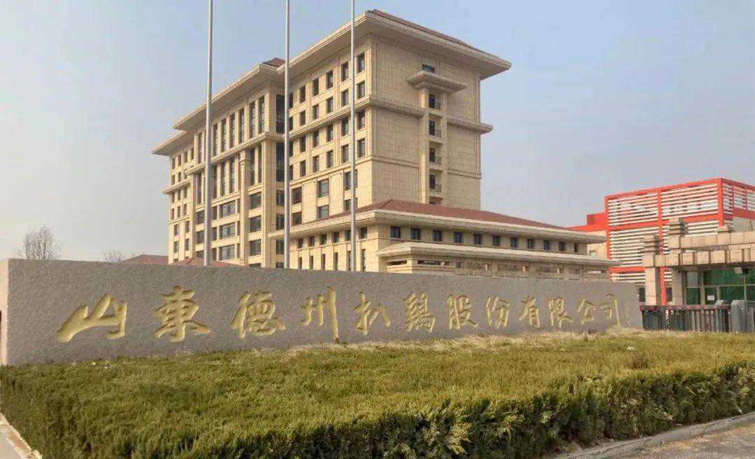 案例 | 德州扒鸡集团-报告厅音频扩声系统