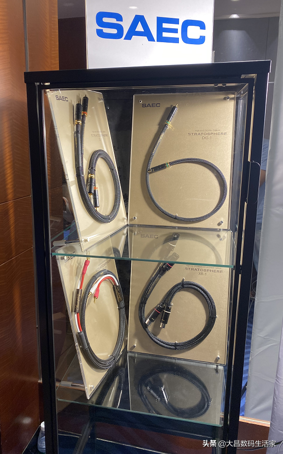 展会回顾 | 聚焦SAEC PL-9000