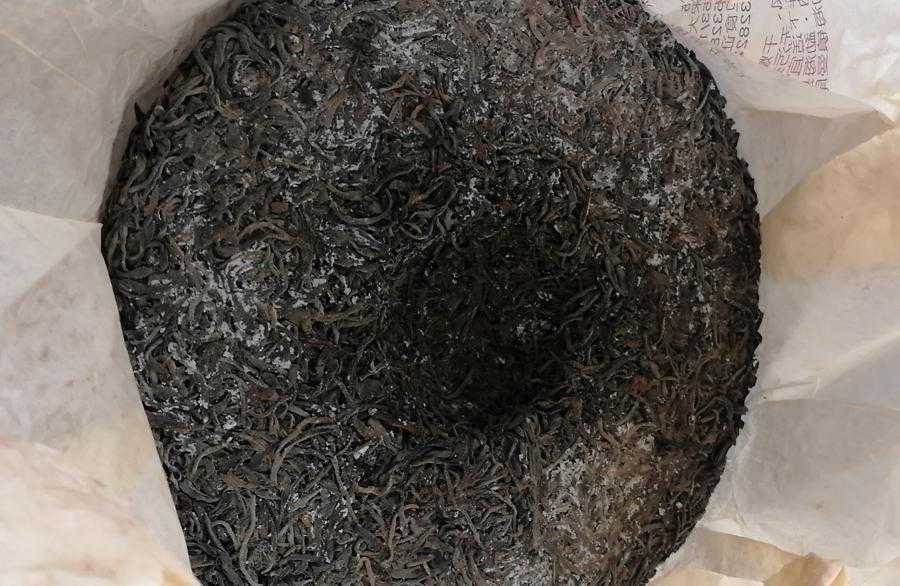 不用瞎担心！分清普洱茶“发霉”与“白霜”并不难，只需读懂此文