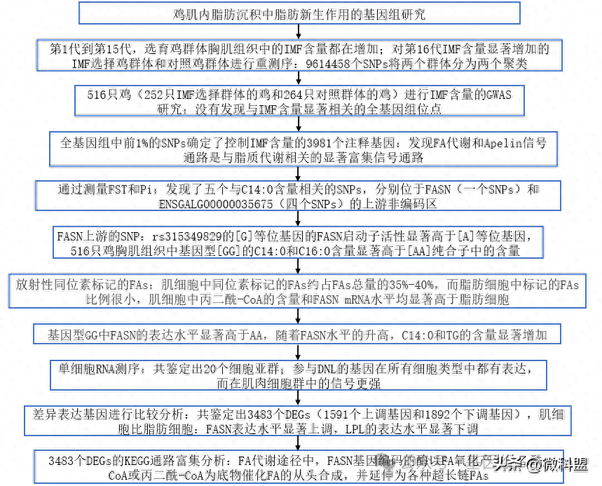 中国农科院牧医所：鸡肌内脂肪沉积中脂肪新生作用的基因组研究