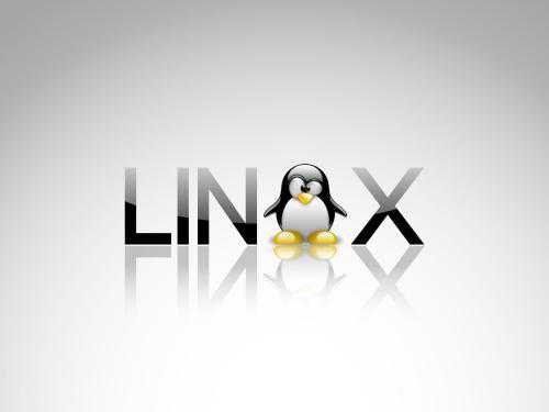 Linux学习总结--初学者必看指南