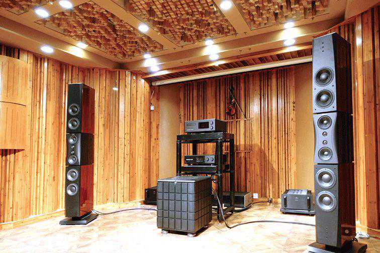 天生赢家——德国巅峰Synästec Audio推丹拿证据铂金版音箱