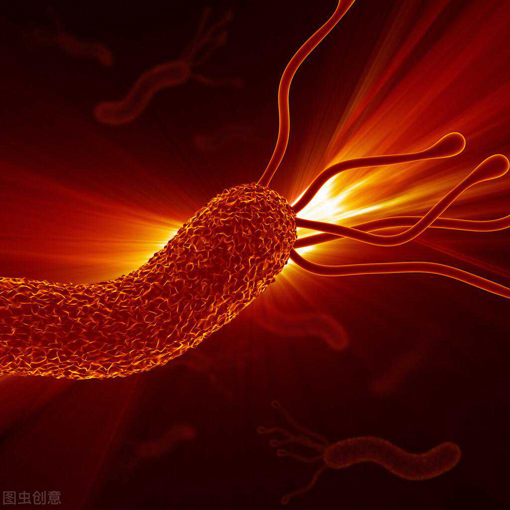 《GUT》：越早根除幽门螺杆菌，受益越大，可大幅降低胃癌风险