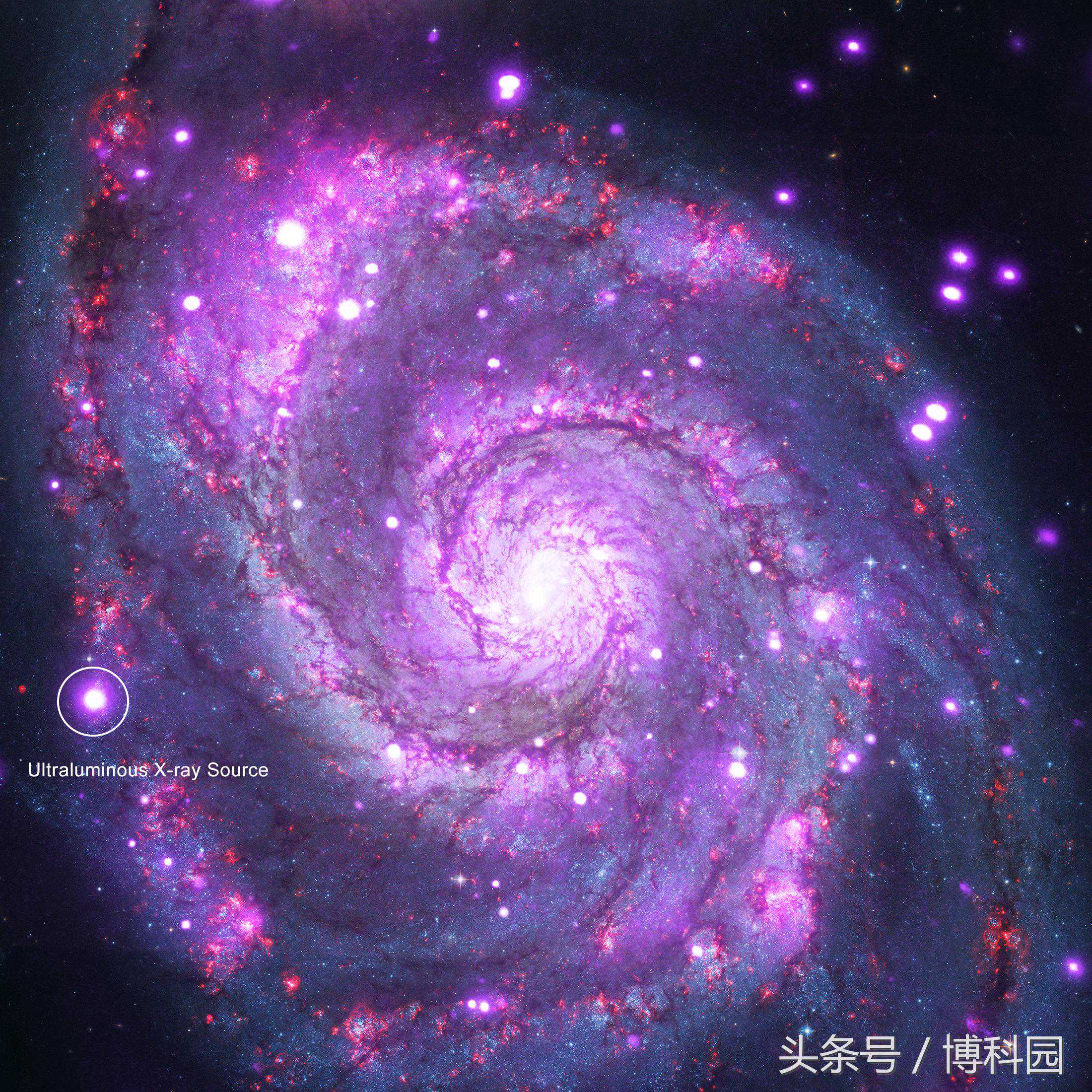 闪耀着数百万个太阳的光芒